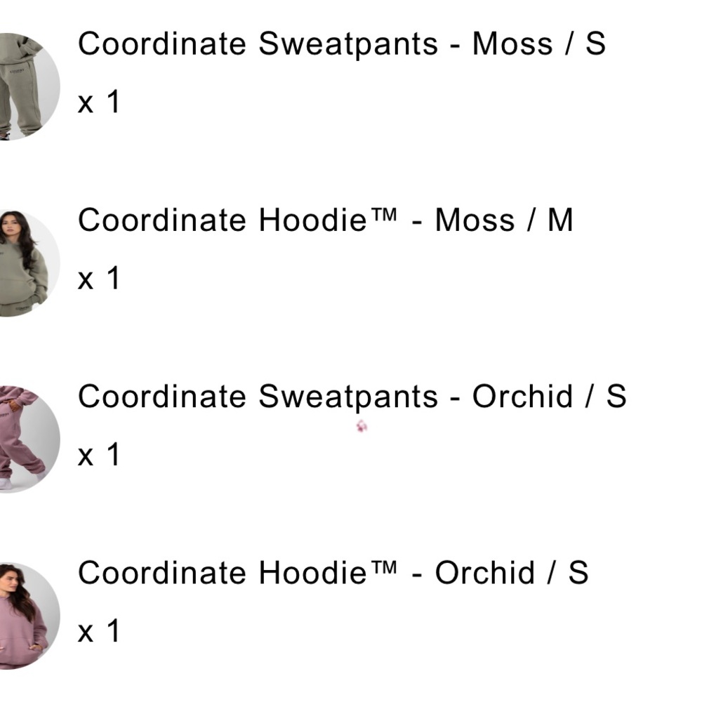Coordinate Sweatpants and Hoodie Set - Moss and Orchid